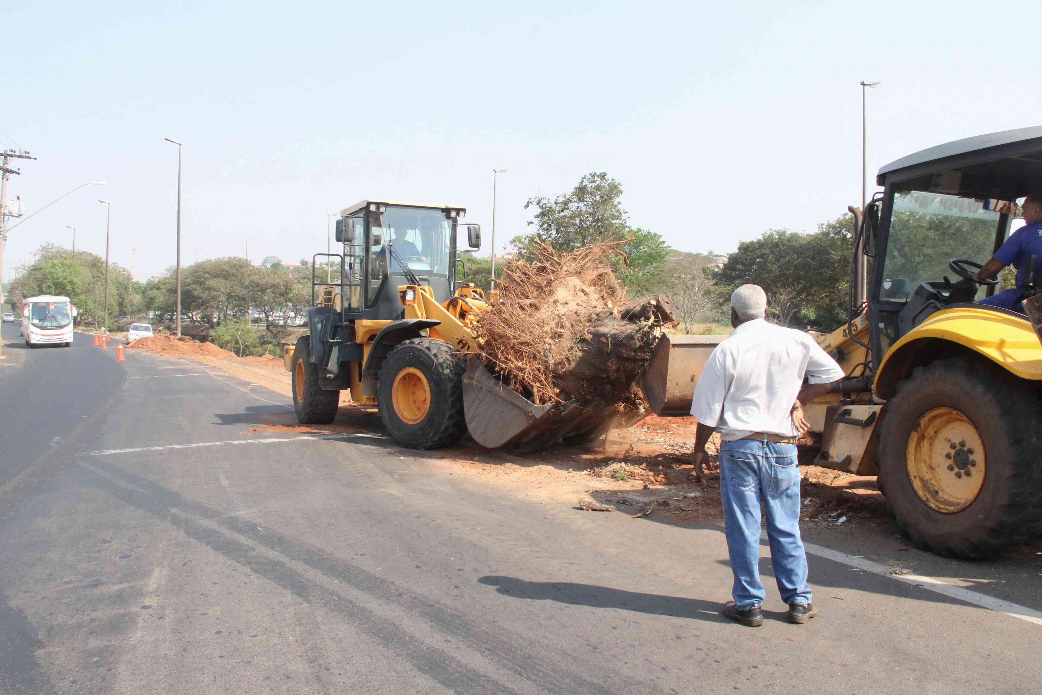 nuno assis q20 (3)