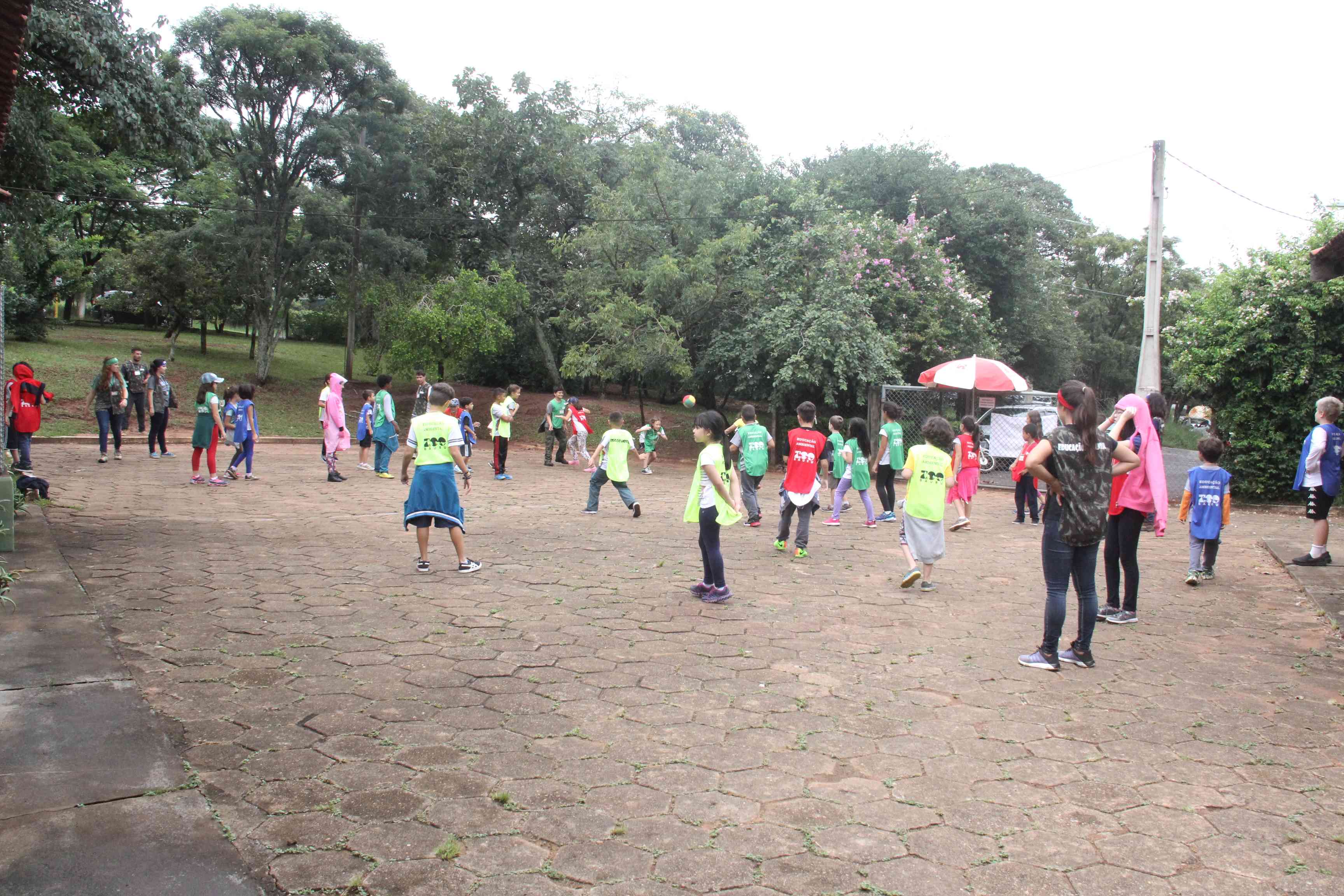 Zoo Curso de férias (31)