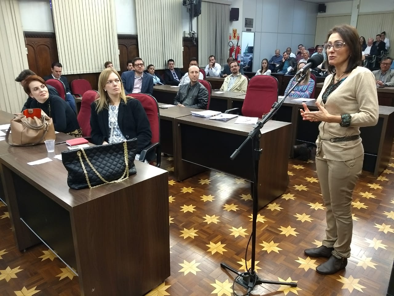 audiência lei inovação (1)