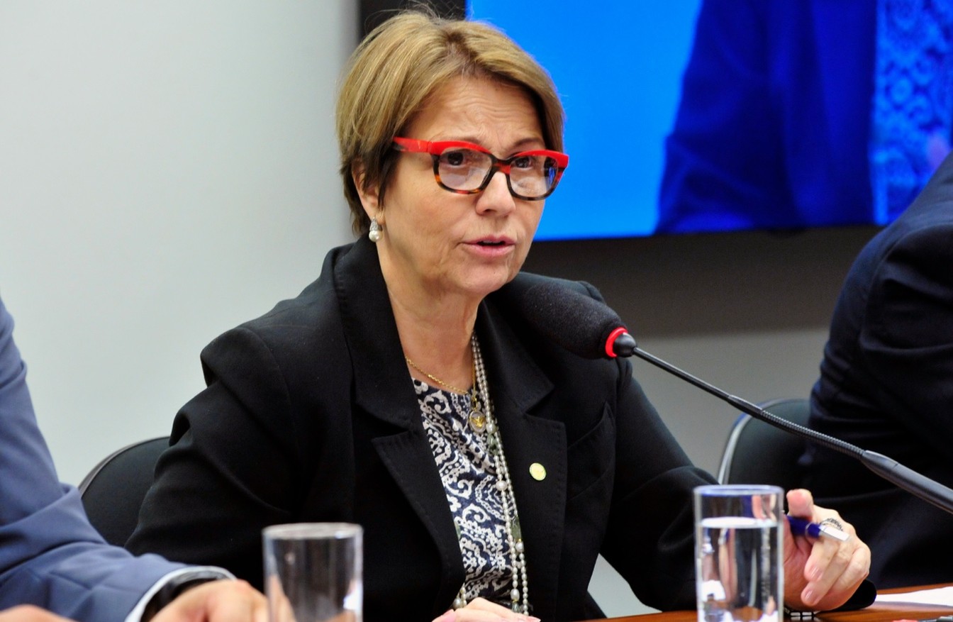 tereza-cristina