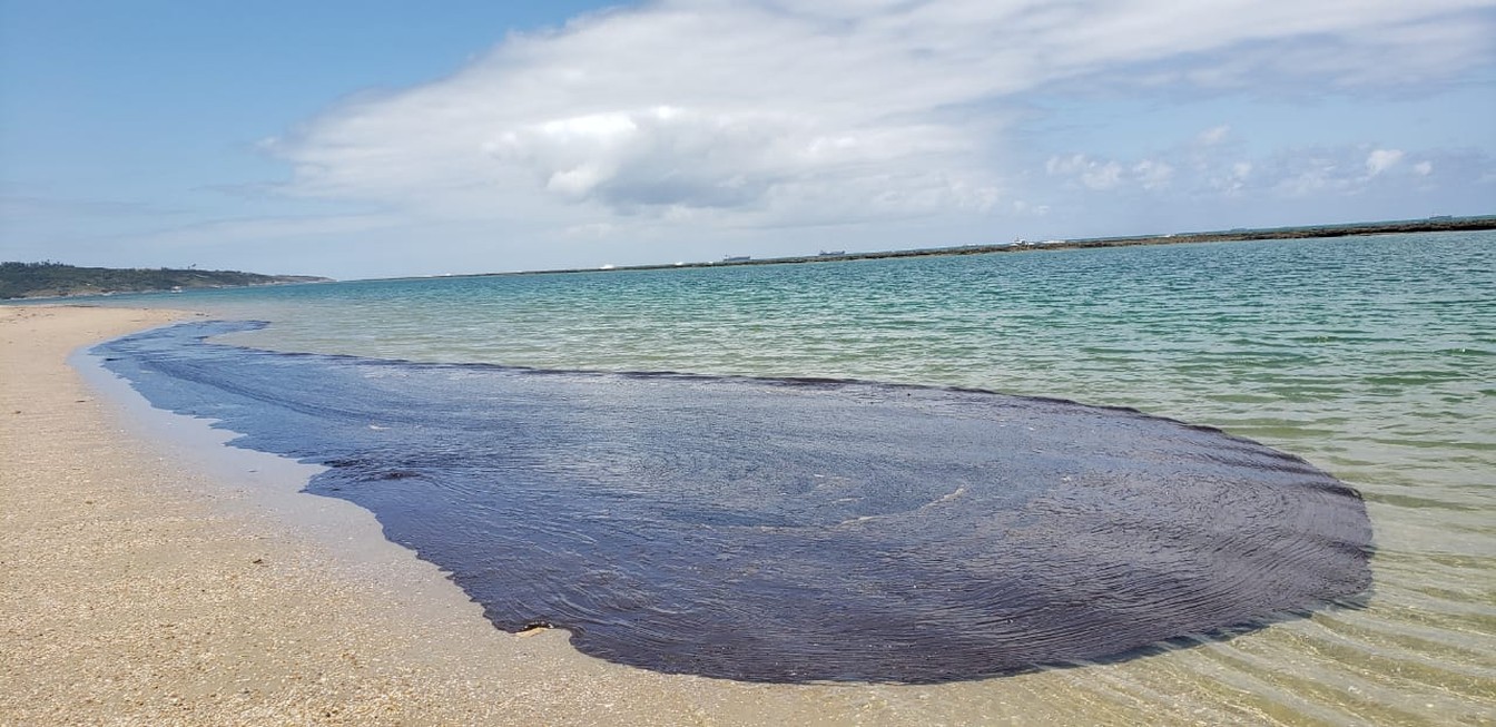 suape-mancha