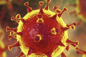 1_coronavirus__9-2273328