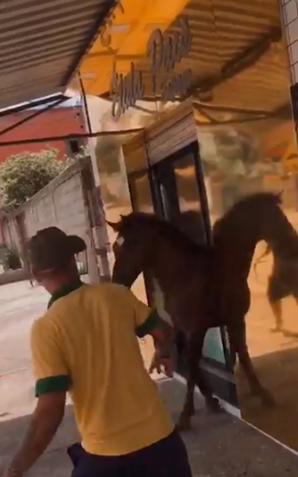 egua-no-salao